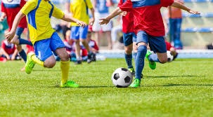 国米球迷对帕莱的5000万欧押注引发争议